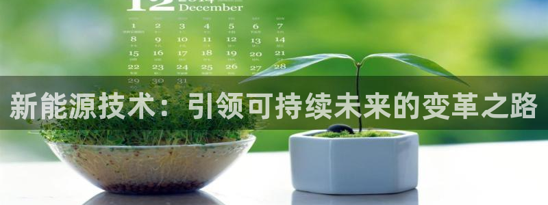 sunbet手机网页版本