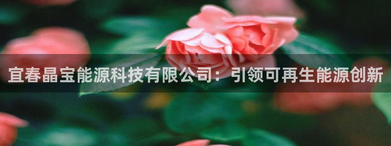 申博视讯