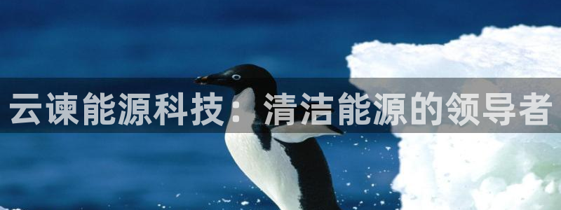 sunbet安卓下载