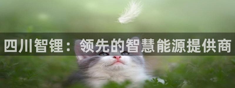 申博官方网站手机版下载