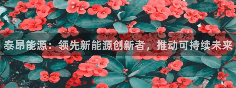申博官方网站