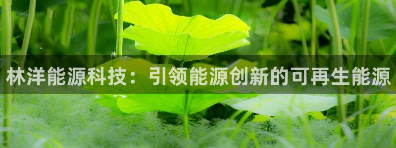 申博手机版app下载