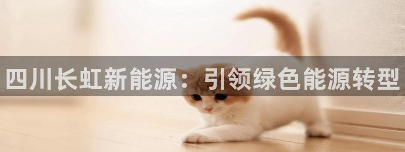 sunbet官网登录首页