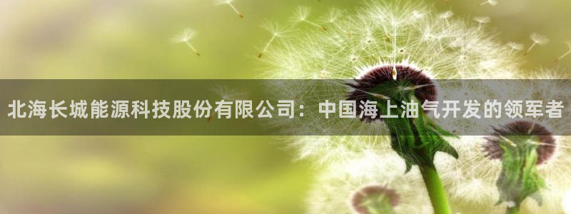 sunbet手机网页版
