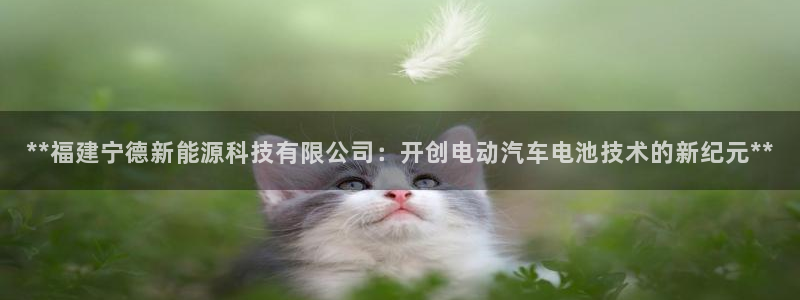 申博手机版官网