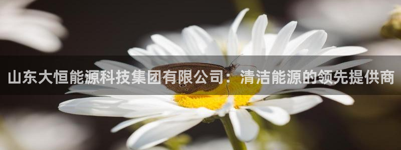 sunbet安卓下载