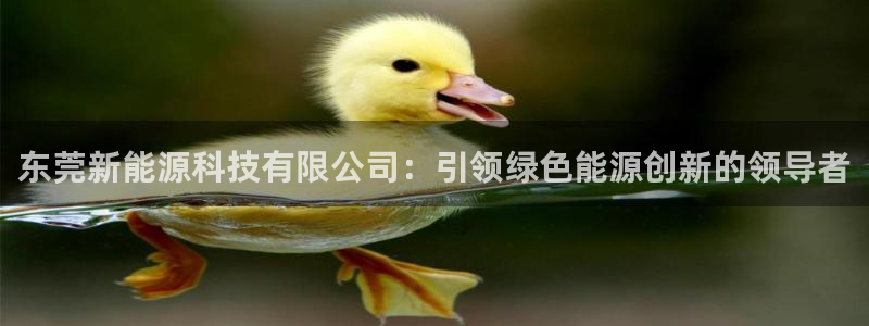 sunbet手机网页版本