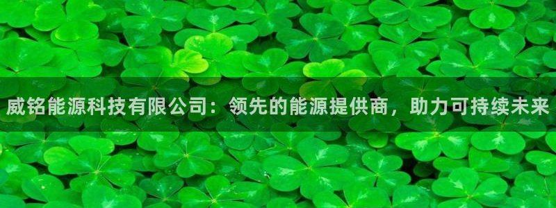 sunbet最新消息