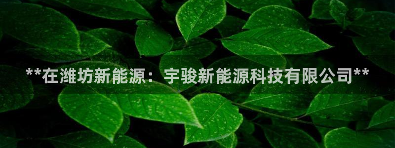 申慱sunbet网站