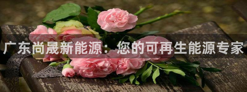 申博app下载