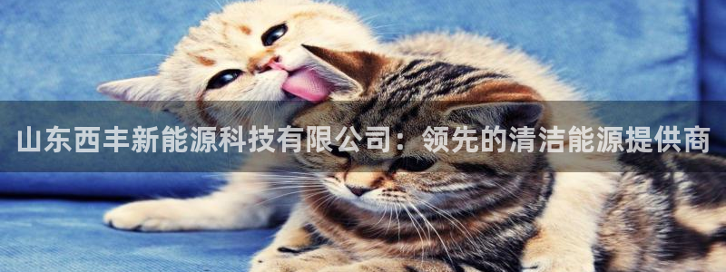 sunbet手机网页版