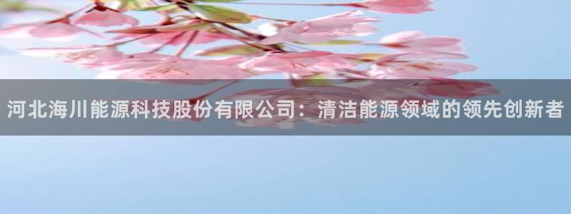sunbet最新消息