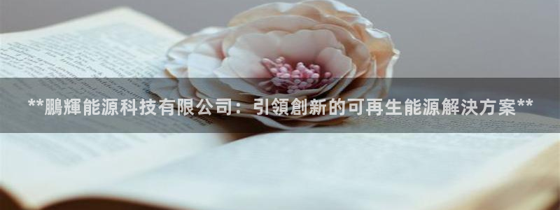 sunbet源码