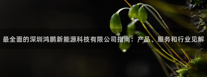 sunbet手机版官网下载