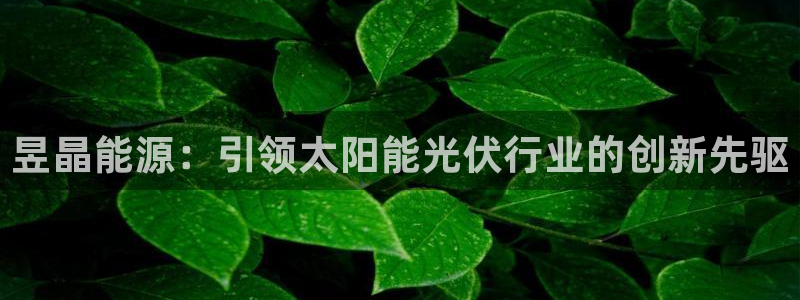 sunbet手机app版