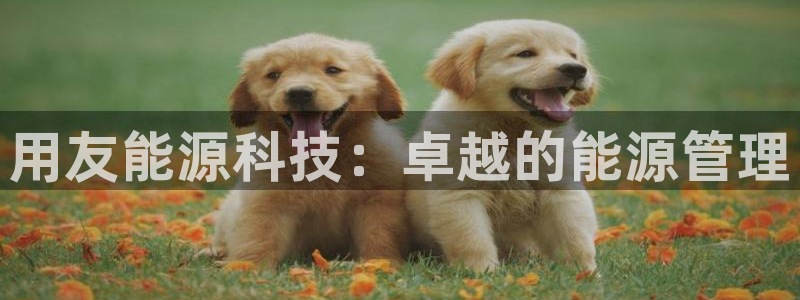 sunbet申搏官方网站
