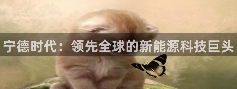 sunbet英语翻译