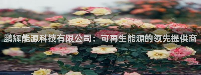 申博手机网站