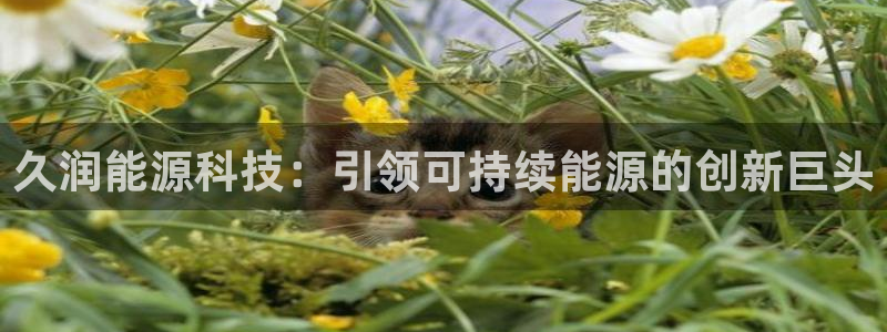 进入sunbet官网手机版登陆