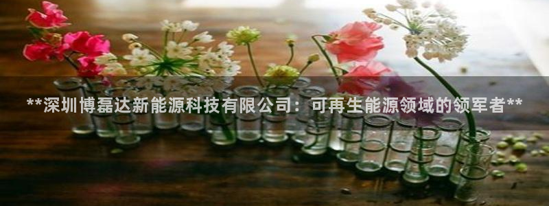 sunbet申搏app下载