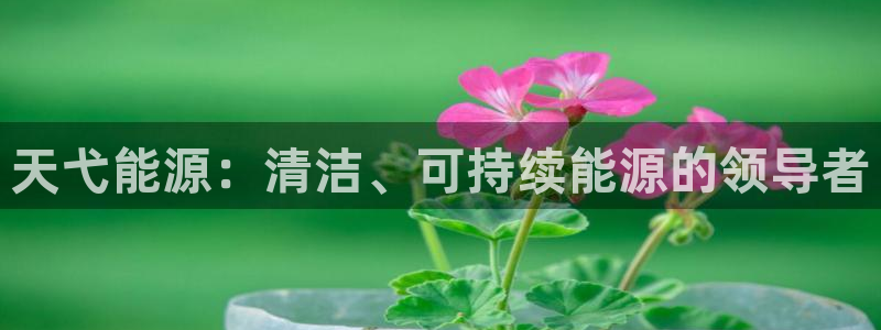 sunbet线上真人手机版