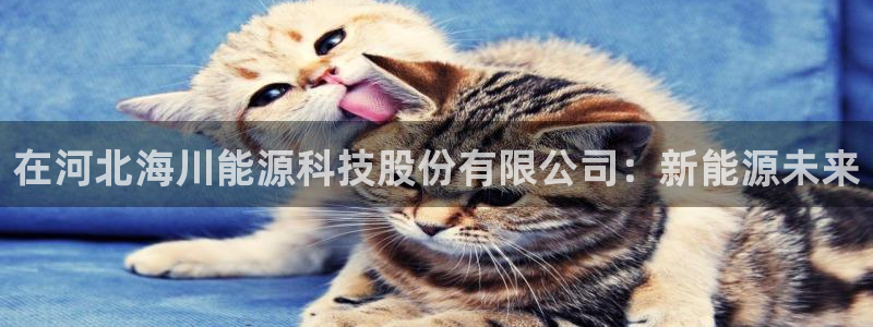 申博官网电脑版下载