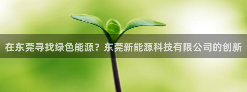 sunbet手机端