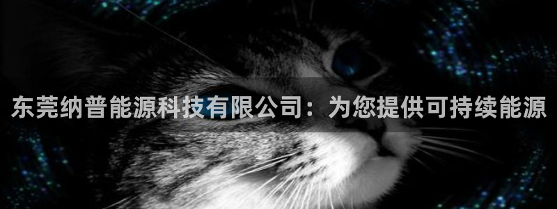 sunbet官网手机版