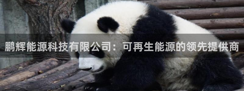 申博手机版官网
