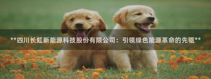 申博官网手机客户端