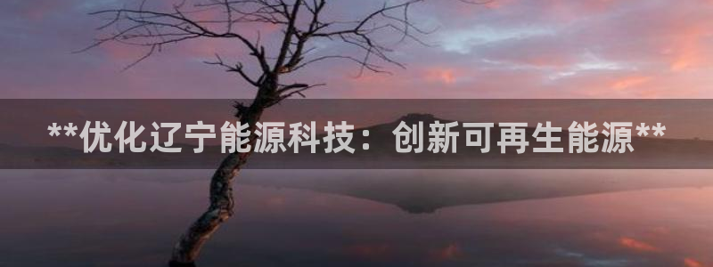 sunbet最新登陆