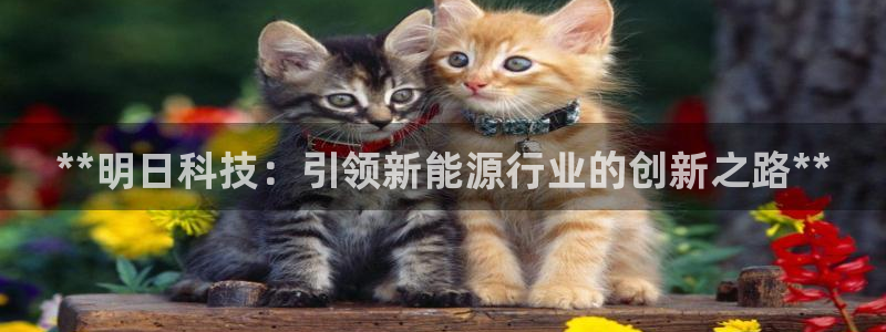 申慱sunbet网站