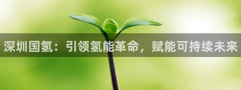 sunbet中文