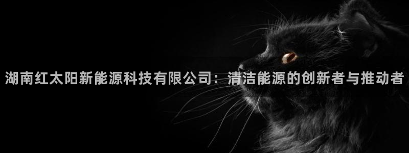 sunbet游戏网