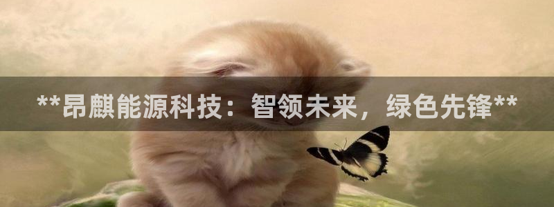 sunbet苹果官网下载