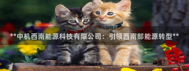 sunbet苹果官网下载