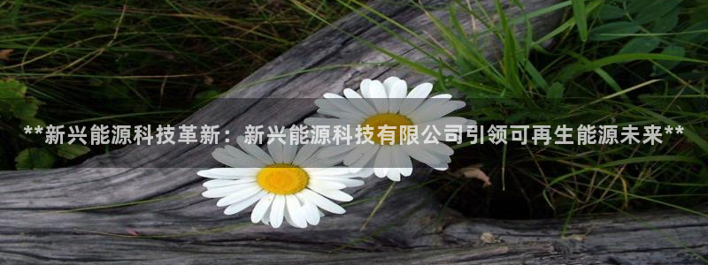 sunbet中文