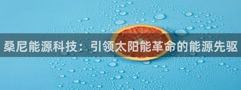 sunbet安卓下载