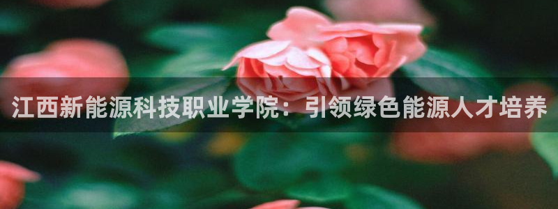 sunbet手机网页版