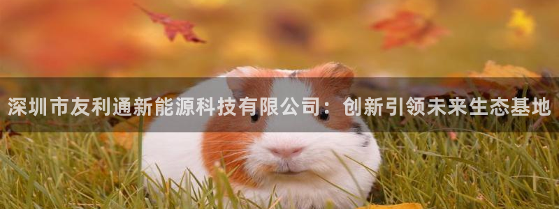 sunbet苹果app