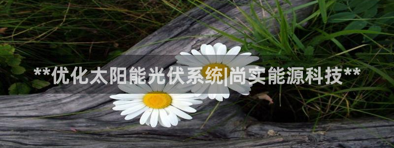 sunbet手机app版