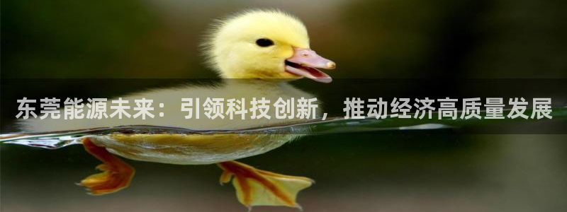 sunbet中文