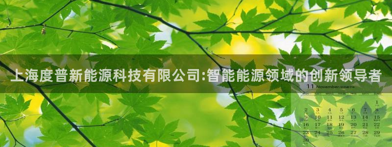 sunbet程序