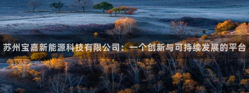 申博官网电脑版下载