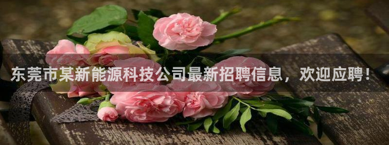 申博app下载