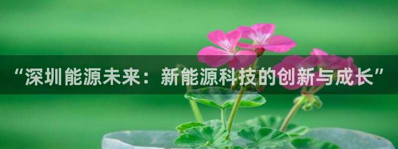 申博官网手机版下载app