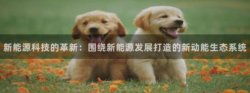 sunbet游戏