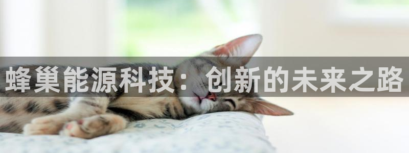 sunbet英语翻译