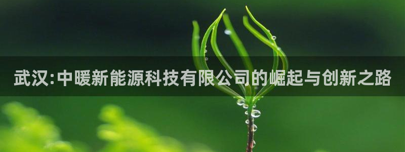 sunbet官网开户登录手机版