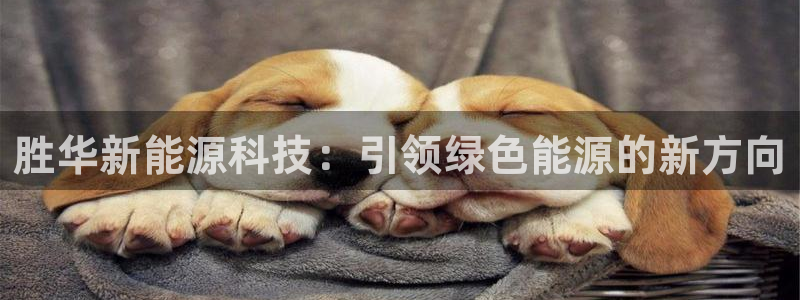 sunbet源码